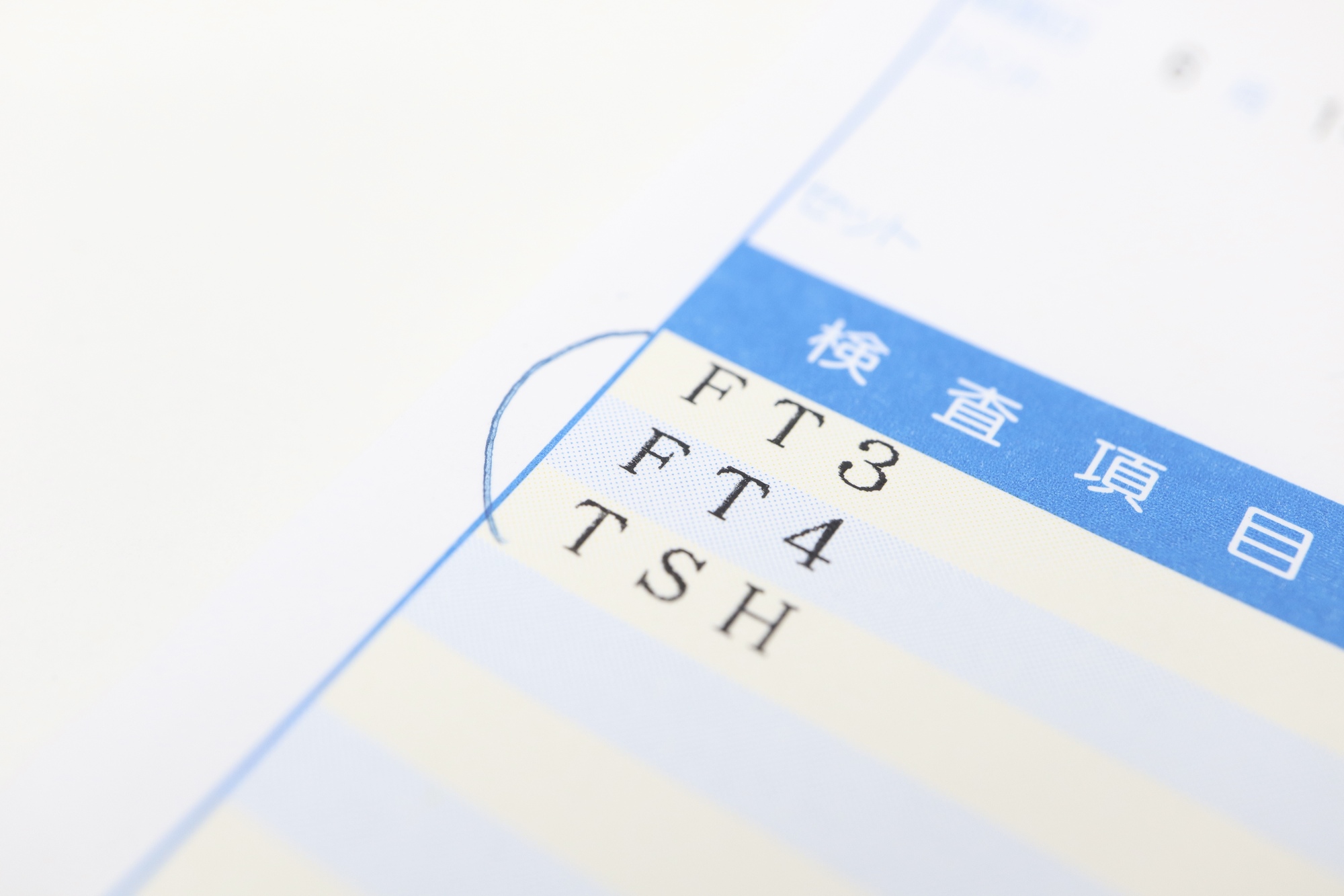 甲状腺刺激ホルモン（TSH）の役割