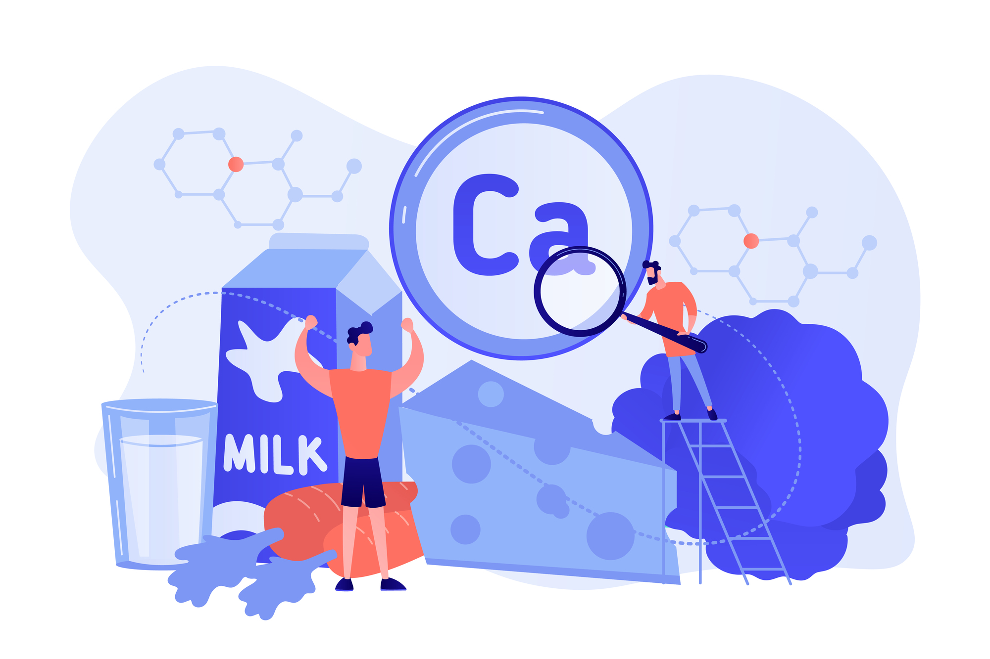 副甲状腺の役割と作用